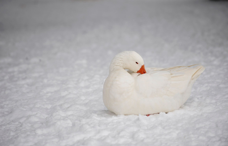 昆明购物中心设老公寄存处不也受其害吗