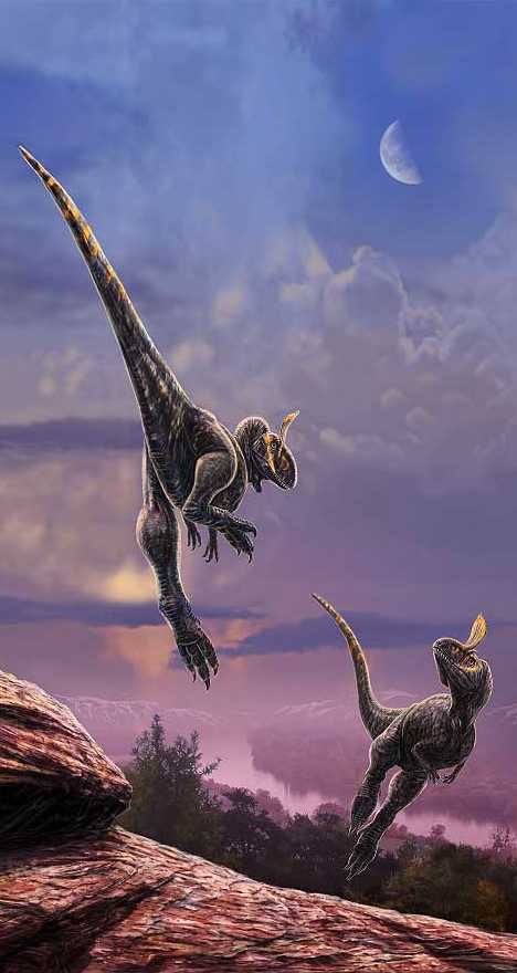 23个百分点 苏格兰为何再打公投牌