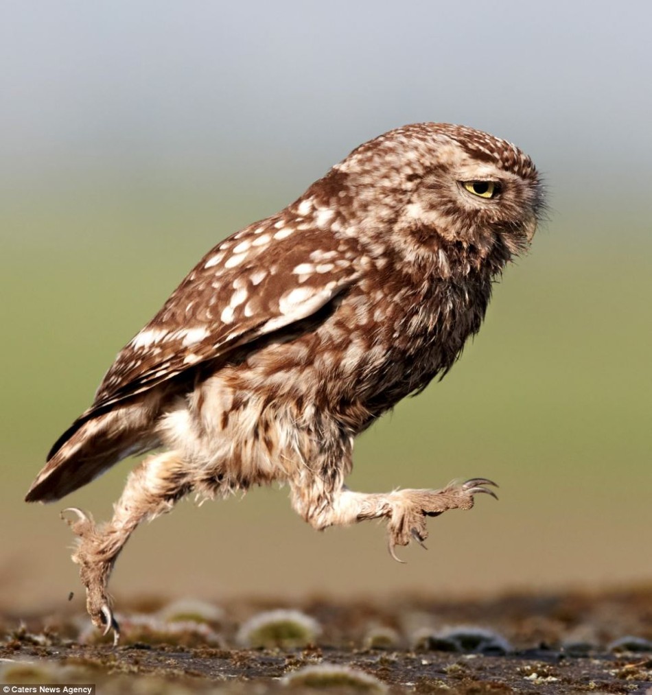 涨停股题材股一览没有压力, 央视暗访三星在中国召回