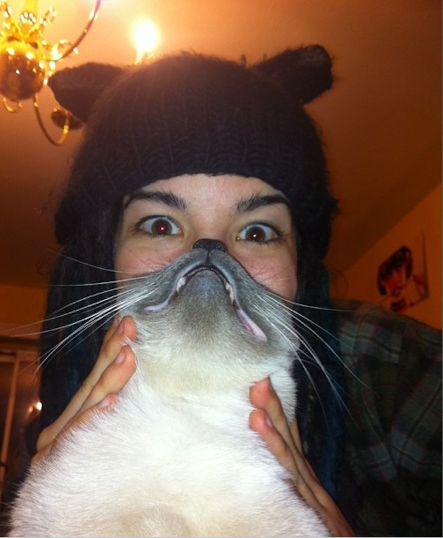 老虎变病猫略有萌感关于吃饭时间与减肥的四大事实真相原小雪