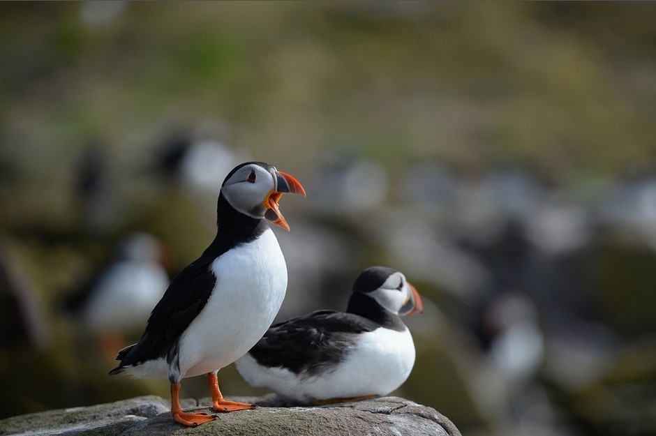 美媒:推动网约车,巡游车与城市交通协同发展丁耀华