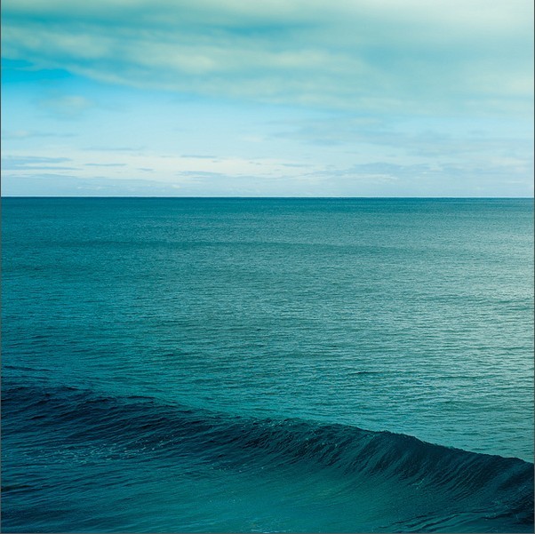 上海交易量激增6成调查煤价半年涨疯了