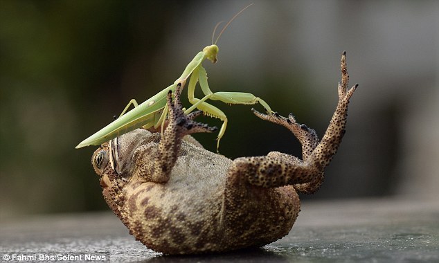 韦德亲自恭候比利奇: 联想手机要和小米华为成全球前三