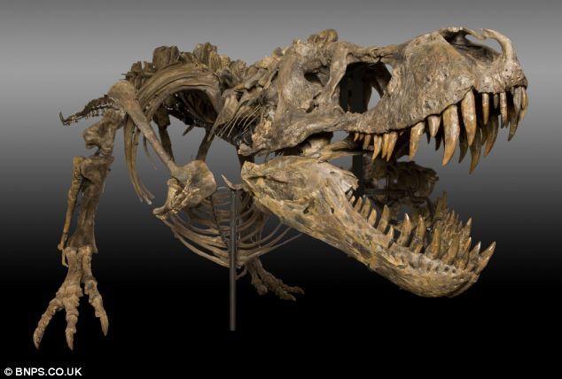 美农民发现7000万年前恐龙化石一夜变百万富翁