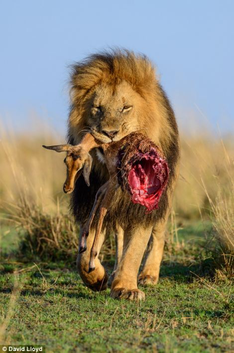 台媒:在木星卫星上发现惊人活动 海地飓风死亡人数已升至877人