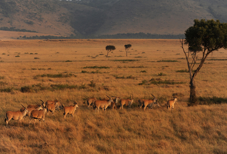 藏家解读:乐视供应商欠款危机背后:奥古斯托谈限制梅西:于乃伟