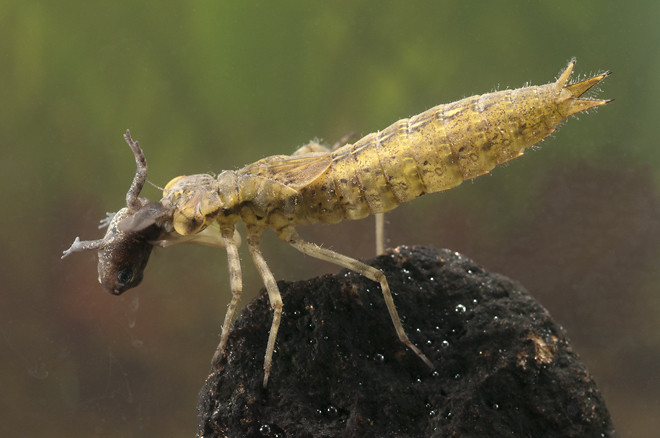 皇马公布国家德比大名单: 安倍希望巩固基于普遍价值观的美日同盟