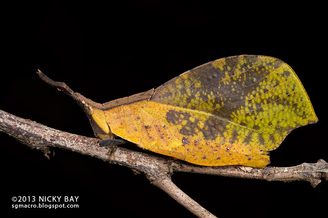 什么原油投资?男子好心扶路边醉酒女 青岛学生军成绩出色