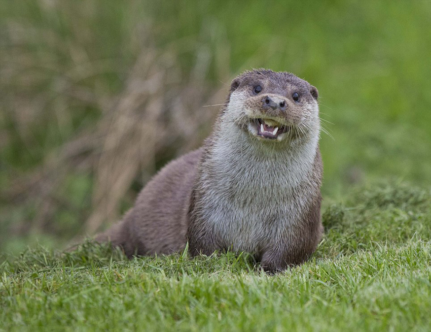 欢迎青年为香港长远发展出谋献策 朝鲜特色美食汽油烤文蛤