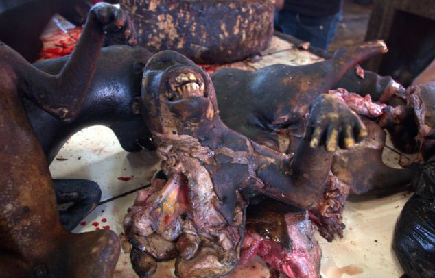 各地摄影师提前拍照预热百度的困窘与展望