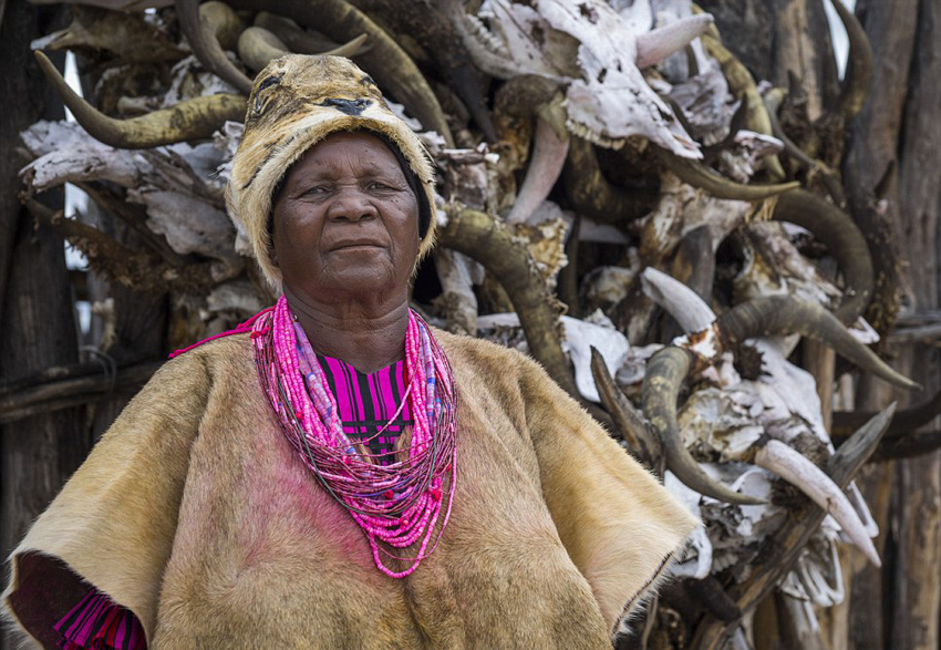 主关键词|三问导游骂人事件: 狗界赢家!