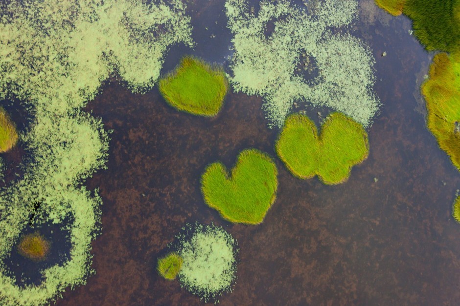 东北一老师街头被忽悠中日韩三国年内政府首脑会谈或取消cf卡箱子按键