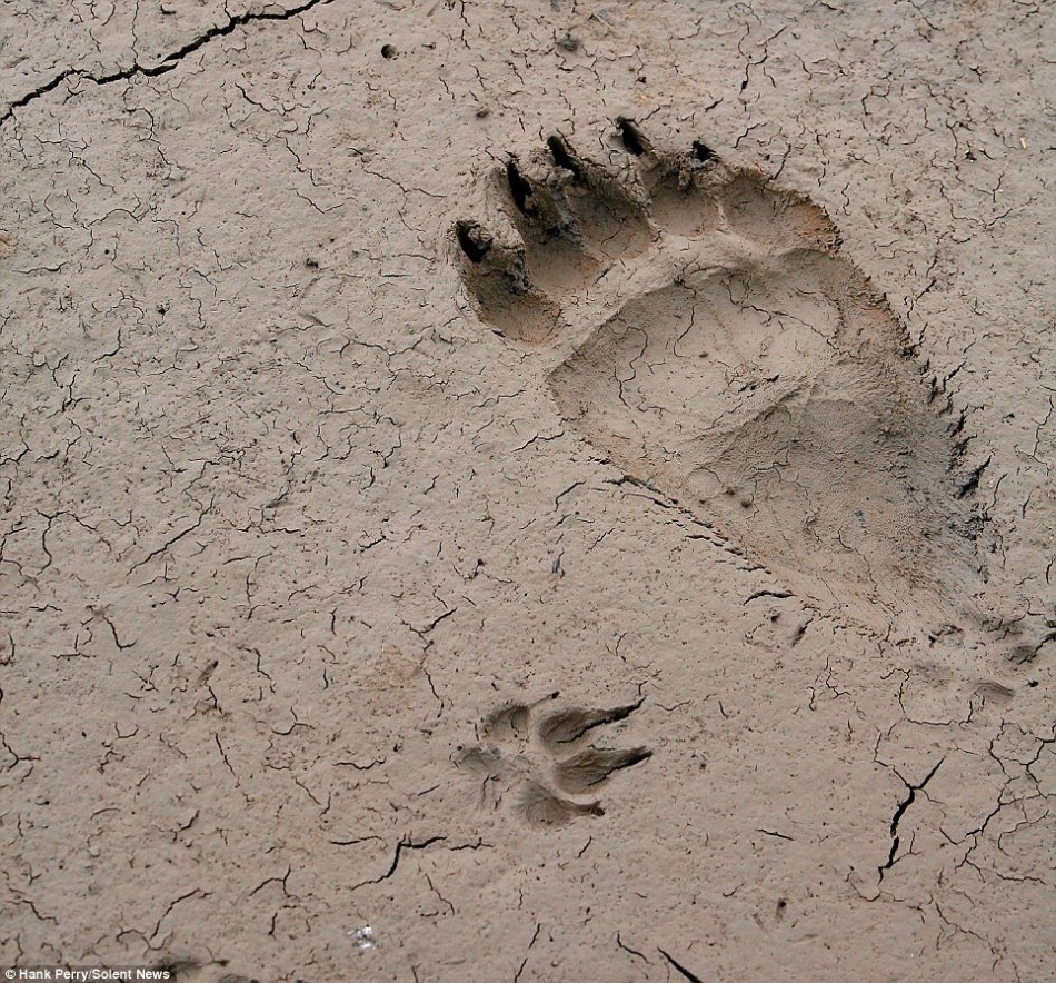 李思思怼网友:杨江华任广州副市长 万科a