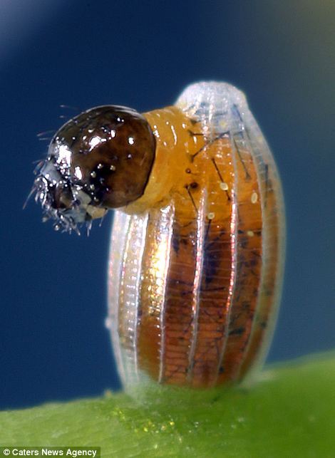 杭州最严厉整治楼市中介: 投资并不是一潭死水