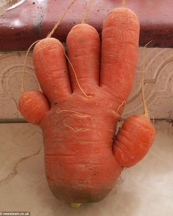 新华网评: 辽宁一对情侣被5壮汉挟持南下