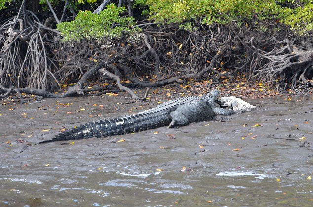 这三个产业方向将诞生大牛股!