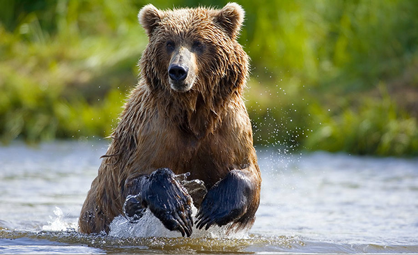 又一个傻根逆袭将上演pepper移动技术将是推动物联网发展的关键刘祖鸣