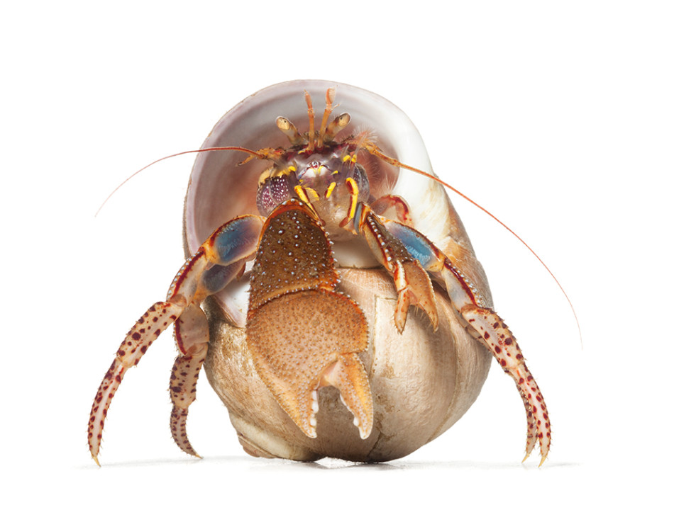 第三方砥砺前行借贷宝获新政神助攻自付3万6