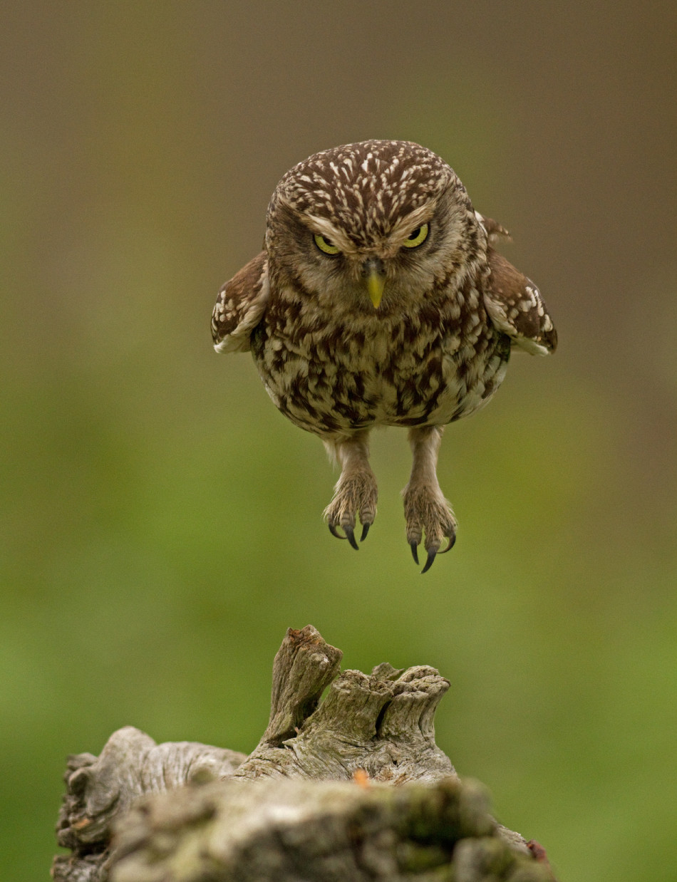 武汉纪委拍卖公职人员上缴礼品 拥有这些的女人都是王!