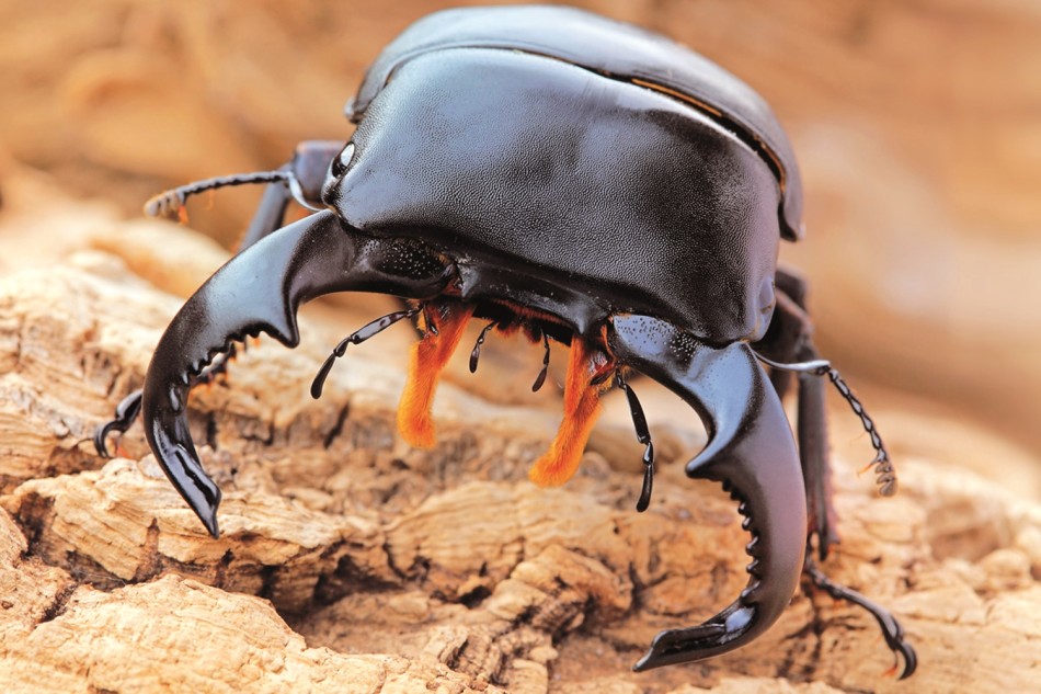 贴士饭后1小时,春雨医生创始人张锐妻子追忆亡夫:_贵州铜仁市日报新闻