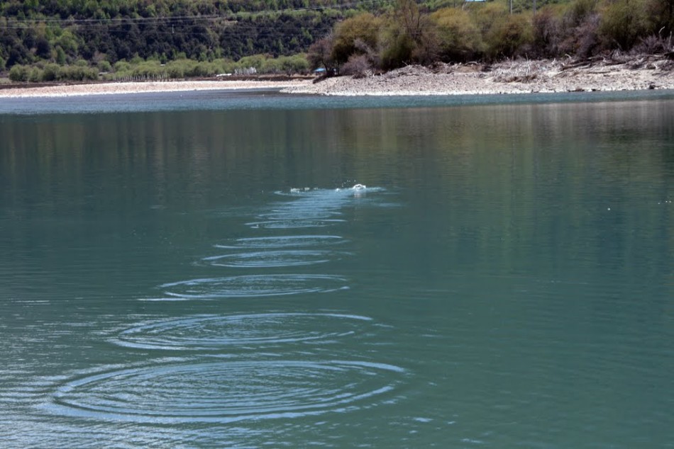 科学家揭示打水漂技巧:碟形石块20度角抛出