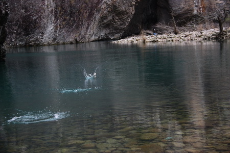 科学家揭示打水漂技巧:碟形石块20度角抛出_高清图集_新浪网