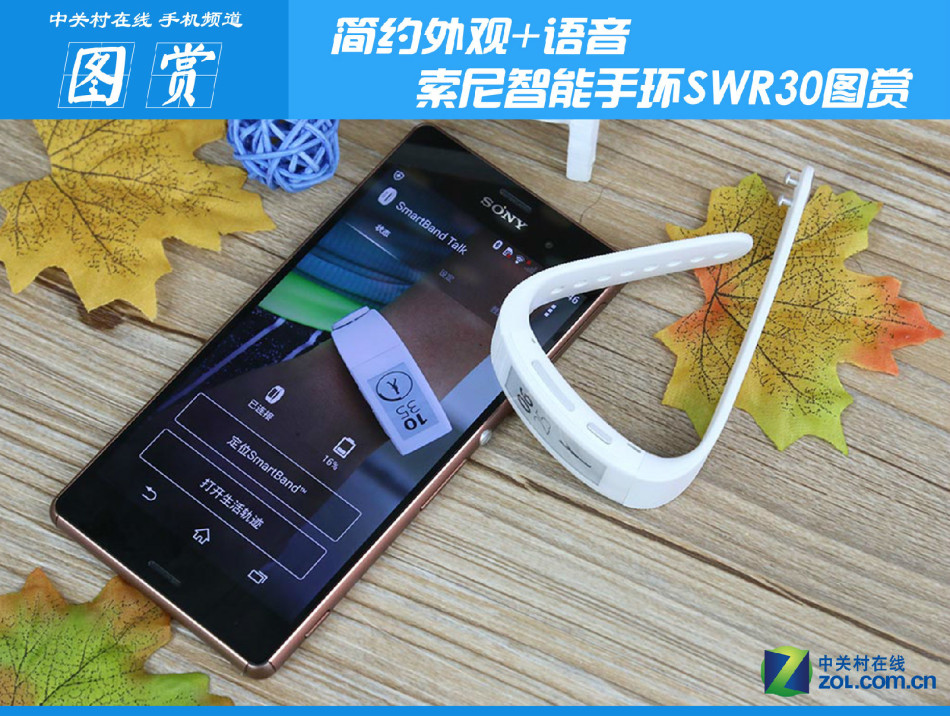 简约外观 语音功能 索尼智能手环swr30图赏_高清图集_新浪网