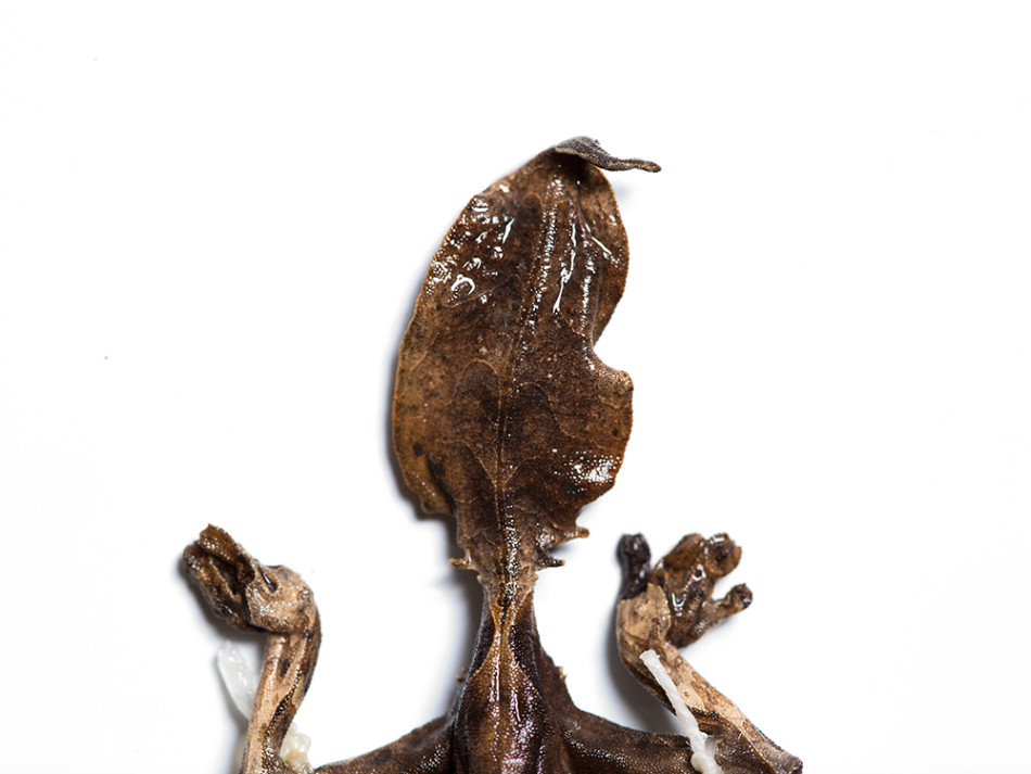 盘石网盟助企业开拓营销新思路吉达-布塔钢琴音乐会启动