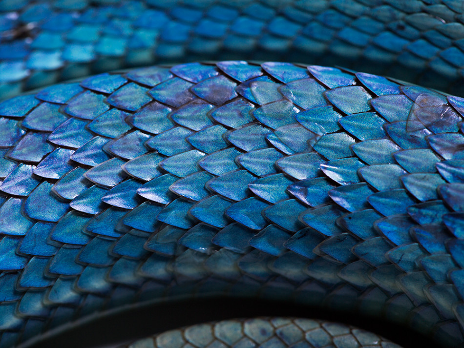 高港杯大乱斗赵鑫鑫程鸣等5人冲冠 湖北鄂州车辆落湖18人遇难