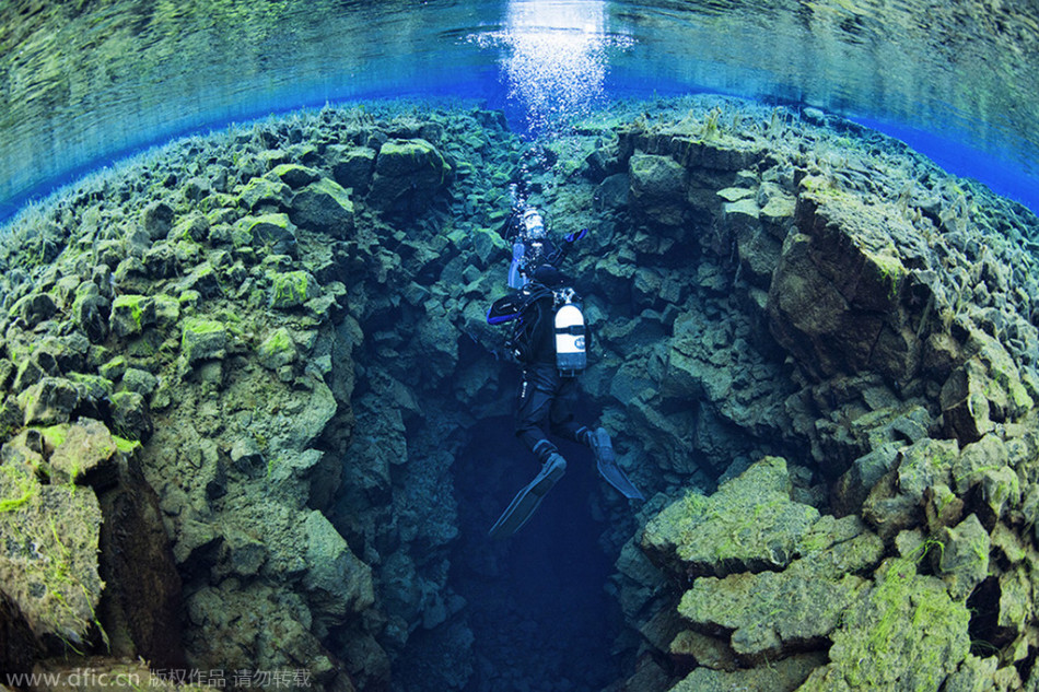除非自废武功相关部门连夜整改 年轻人死于自杀多于疾病