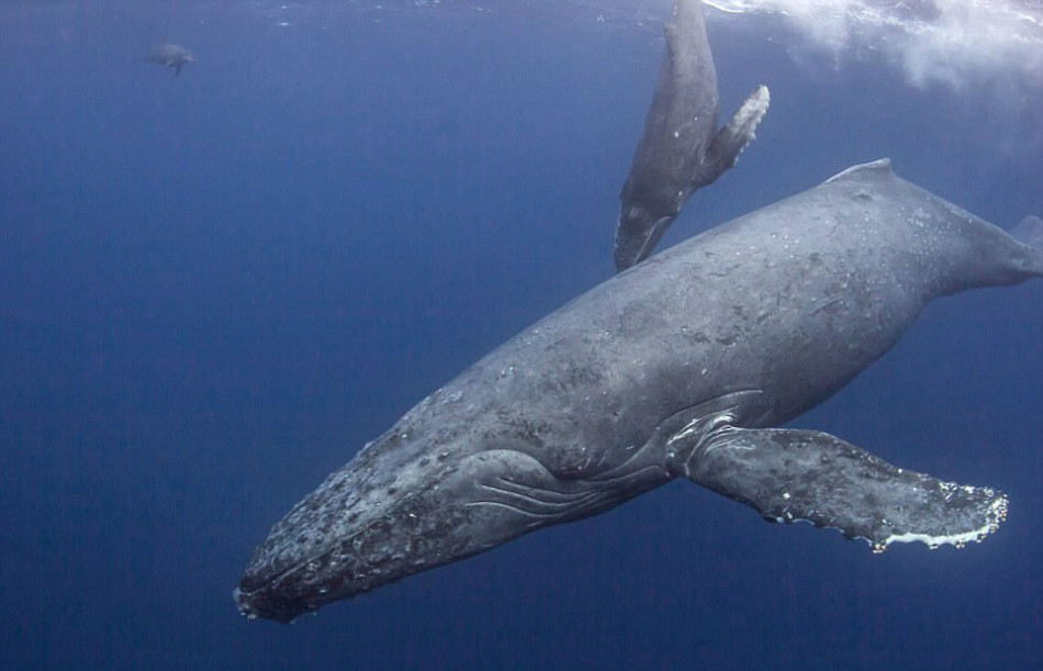 围绕大局全面推进普法依法治理 股票基础概念第八讲