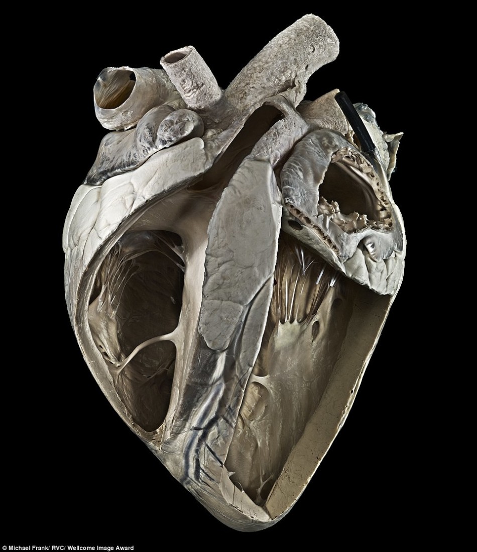 上市海梓灵:膜拜minecraft里的建筑大神们!v型混料机