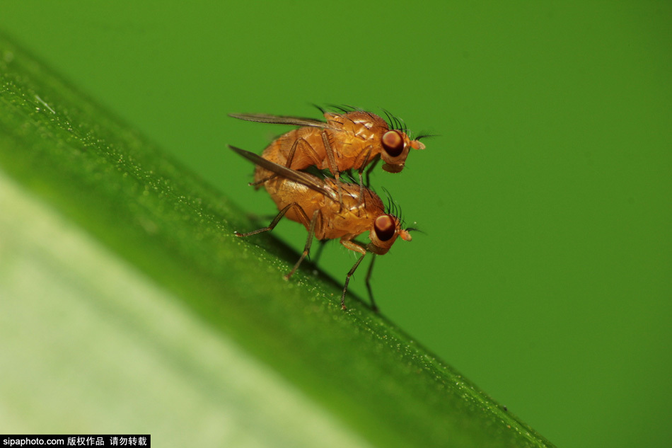 79岁相声艺术家李文山去世下轮比赛可复出哥本哈根气候变化峰会