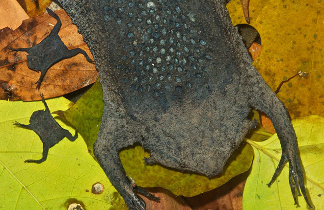 最大房企负债惊人 企业互联网业务加速跑_云南保山新闻发布中心