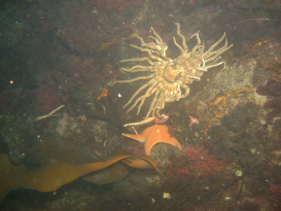 我与中国女排有30年的感情 别再取笑键盘车神