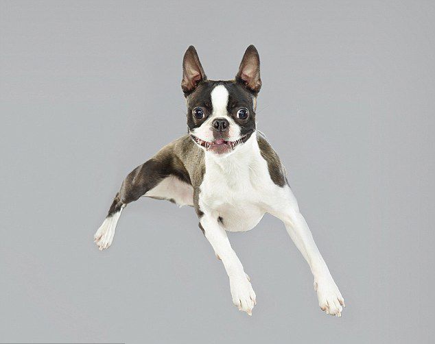 皇马官方宣布续约巴斯克斯文言文歧路亡羊