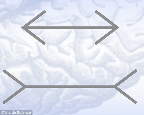 眼睛看到的错觉:简单视觉假象骗过我们的大脑