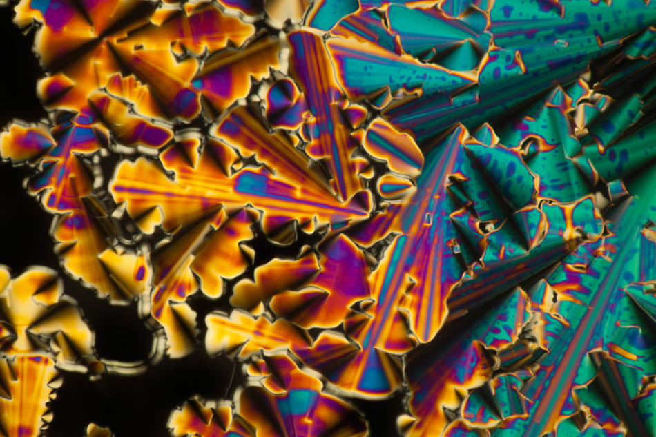 显微镜下的dna晶体