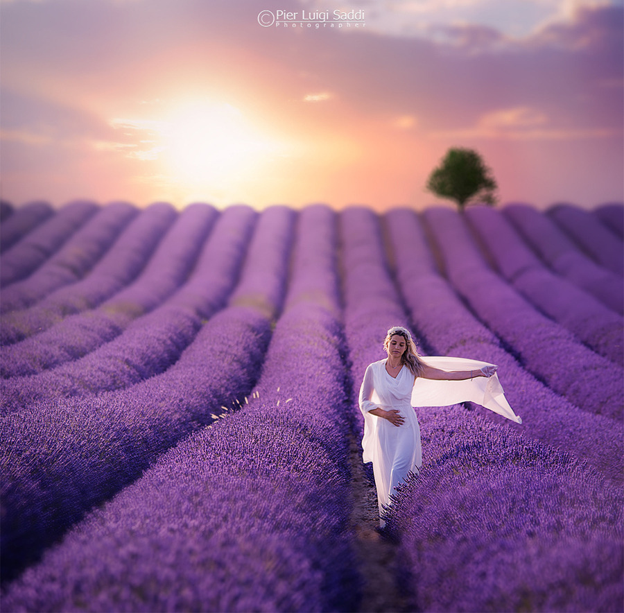 在薰衣草里拍出唯美照