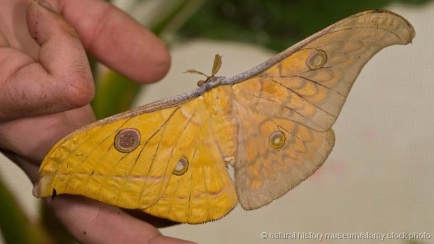 河南三入火海英雄病逝:|听领导安排咯