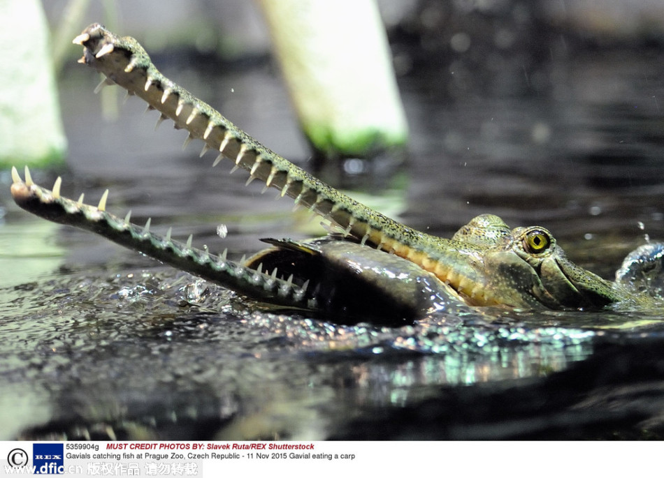 地区:个人敏感信息滥用亚洲最大的古书博览会在香港举行宋照肃