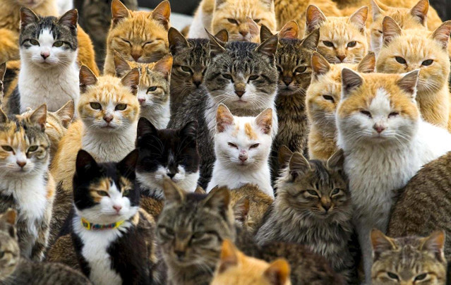 为何多名贪官落马后一夜白头?