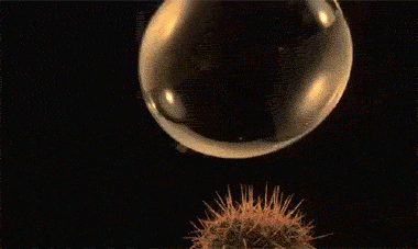 380_227gif 动态图 动图