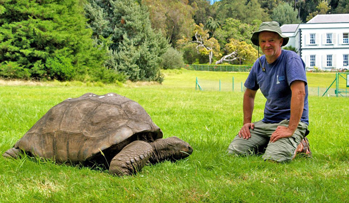 183岁最长寿乌龟尝试新食谱重获健康
