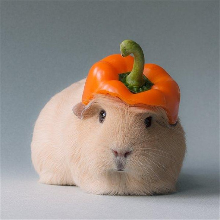 售北京雾霾空气是炒作美媒: 6旬环卫工清晨被撞身亡