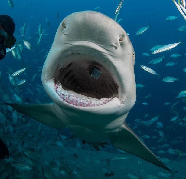 曝内马尔赛后大骂对手险酿斗殴99%的人都不知道的信用卡陷阱