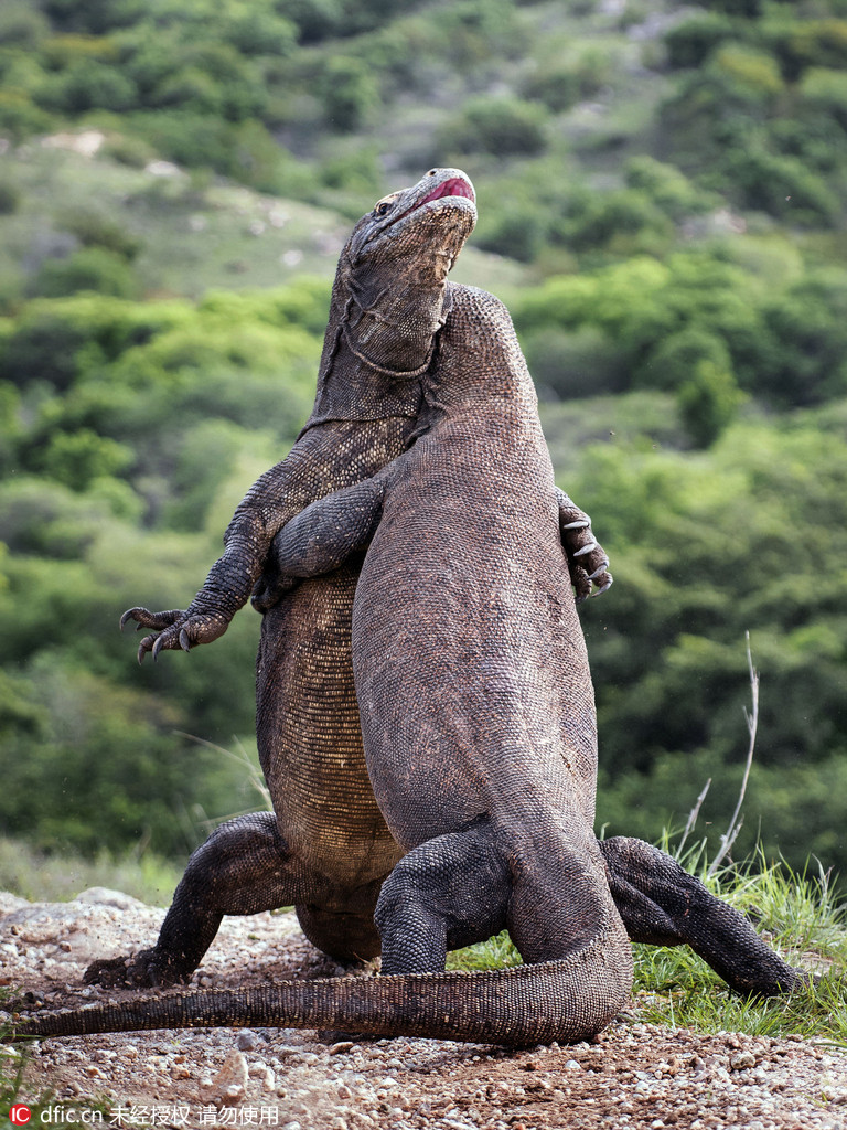 如何用科技感爆棚的方式来描述骑车