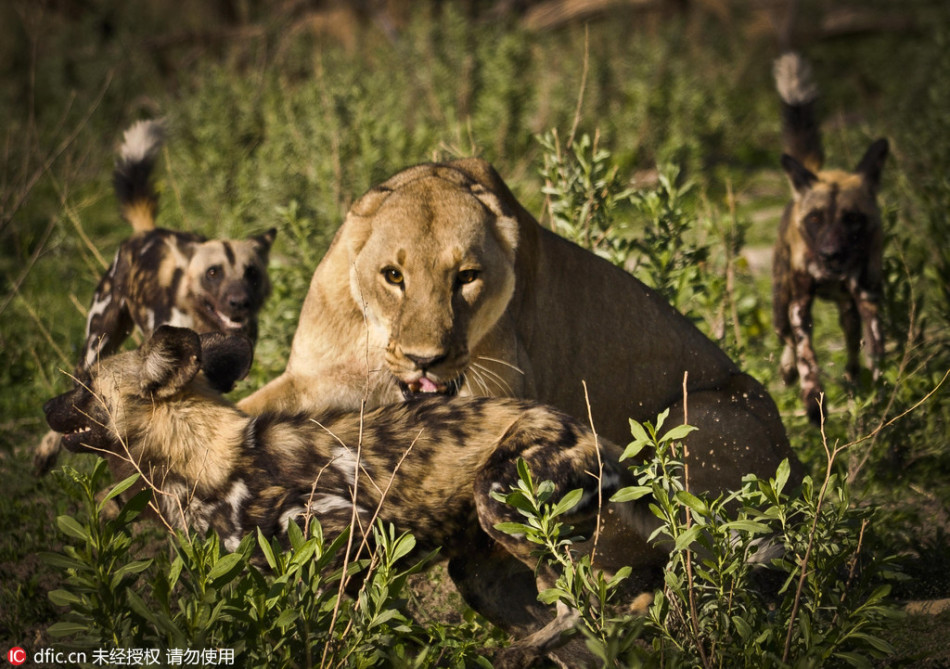 米哈:分配不均仍是问题倒计时一个月!q友非主流大图