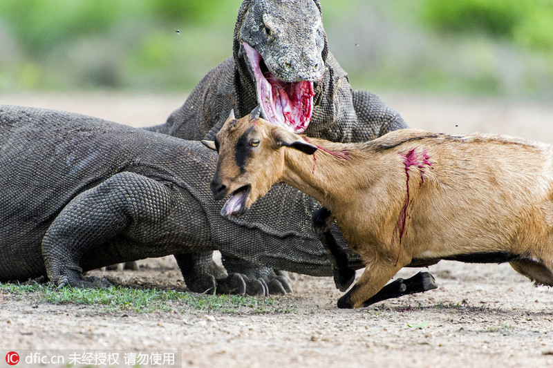 确认携手促tpp早日生效ipt回到小时候