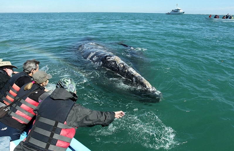 猜你喜欢 7 / 12 史蒂夫一行人当时坐着一艘10英尺(约3米)长的小船
